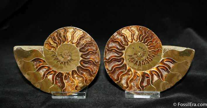 Inch Polished Pair From Madagascar #1067